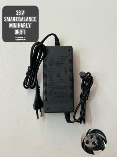 پک 2 عددی شارژر 36 ولت 2 امپر پین کوچک